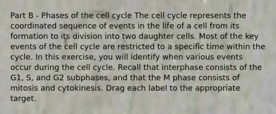 Part B - Phases of the cell cycle The cell cycle represents the coordinated sequence of events in the life of a cell from its formation to its division into two daughter cells. Most of the key events of the cell cycle are restricted to a specific time within the cycle. In this exercise, you will identify when various events occur during the cell cycle. Recall that interphase consists of the G1, S, and G2 subphases, and that the M phase consists of mitosis and cytokinesis. Drag each label to the appropriate target.