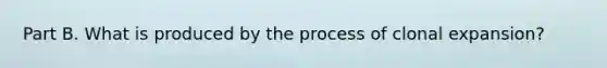 Part B. What is produced by the process of clonal expansion?