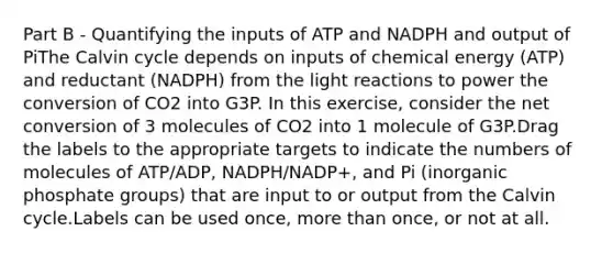 Part B - Quantifying the inputs of ATP and NADPH and output of PiThe Calvin cycle depends on inputs of chemical energy (ATP) and reductant (NADPH) from the <a href='https://www.questionai.com/knowledge/kSUoWrrvoC-light-reactions' class='anchor-knowledge'>light reactions</a> to power the conversion of CO2 into G3P. In this exercise, consider the net conversion of 3 molecules of CO2 into 1 molecule of G3P.Drag the labels to the appropriate targets to indicate the numbers of molecules of ATP/ADP, NADPH/NADP+, and Pi (inorganic phosphate groups) that are input to or output from the Calvin cycle.Labels can be used once, <a href='https://www.questionai.com/knowledge/keWHlEPx42-more-than' class='anchor-knowledge'>more than</a> once, or not at all.