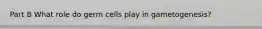 Part B What role do germ cells play in gametogenesis?