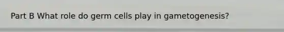 Part B What role do germ cells play in gametogenesis?