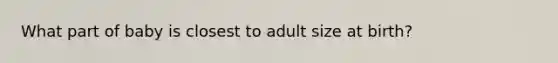 What part of baby is closest to adult size at birth?