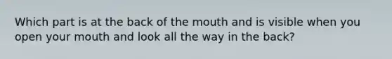 Which part is at the back of the mouth and is visible when you open your mouth and look all the way in the back?