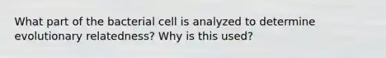 What part of the bacterial cell is analyzed to determine evolutionary relatedness? Why is this used?