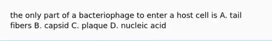 the only part of a bacteriophage to enter a host cell is A. tail fibers B. capsid C. plaque D. nucleic acid