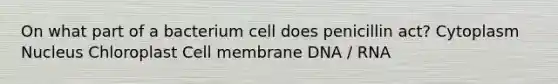 On what part of a bacterium cell does penicillin act? Cytoplasm Nucleus Chloroplast Cell membrane DNA / RNA