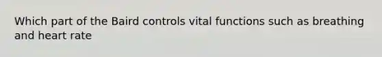 Which part of the Baird controls vital functions such as breathing and heart rate