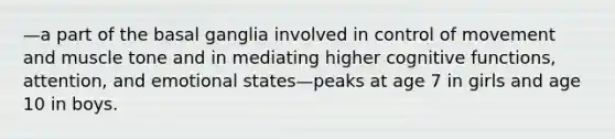 —a part of the basal ganglia involved in control of movement and muscle tone and in mediating higher cognitive functions, attention, and emotional states—peaks at age 7 in girls and age 10 in boys.