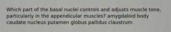 Which part of the basal nuclei controls and adjusts muscle tone, particularly in the appendicular muscles? amygdaloid body caudate nucleus putamen globus pallidus claustrum