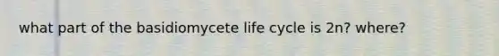 what part of the basidiomycete life cycle is 2n? where?