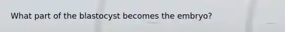 What part of the blastocyst becomes the embryo?