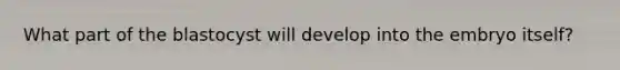 What part of the blastocyst will develop into the embryo itself?