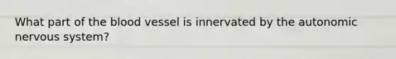 What part of the blood vessel is innervated by the autonomic nervous system?