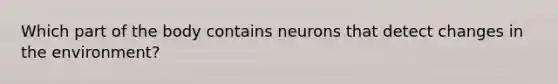 Which part of the body contains neurons that detect changes in the environment?