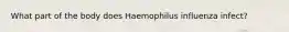 What part of the body does Haemophilus influenza infect?