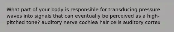 What part of your body is responsible for transducing pressure waves into signals that can eventually be perceived as a high-pitched tone? auditory nerve cochlea hair cells auditory cortex