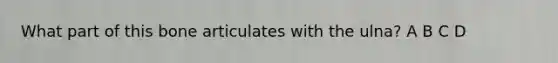 What part of this bone articulates with the ulna? A B C D