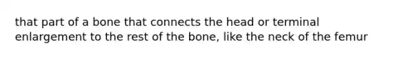 that part of a bone that connects the head or terminal enlargement to the rest of the bone, like the neck of the femur