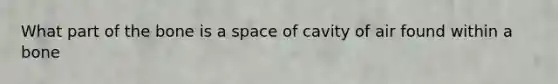 What part of the bone is a space of cavity of air found within a bone