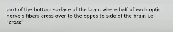 part of the bottom surface of the brain where half of each optic nerve's fibers cross over to the opposite side of the brain i.e. "cross"