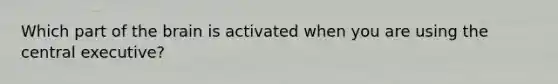 Which part of the brain is activated when you are using the central executive?