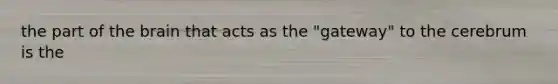 the part of the brain that acts as the "gateway" to the cerebrum is the