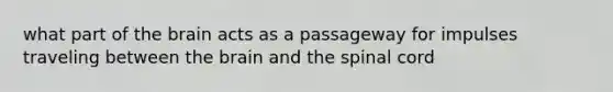 what part of the brain acts as a passageway for impulses traveling between the brain and the spinal cord