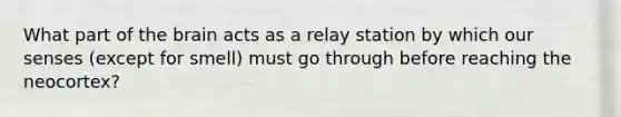 What part of the brain acts as a relay station by which our senses (except for smell) must go through before reaching the neocortex?