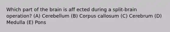 Which part of the brain is aff ected during a split-brain operation? (A) Cerebellum (B) Corpus callosum (C) Cerebrum (D) Medulla (E) Pons