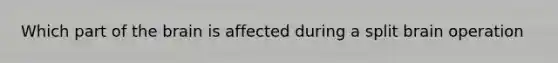 Which part of the brain is affected during a split brain operation