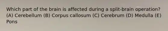 Which part of the brain is affected during a split-brain operation? (A) Cerebellum (B) Corpus callosum (C) Cerebrum (D) Medulla (E) Pons