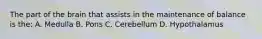 The part of the brain that assists in the maintenance of balance is the: A. Medulla B. Pons C. Cerebellum D. Hypothalamus