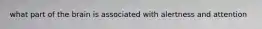 what part of the brain is associated with alertness and attention