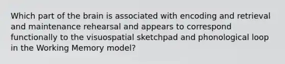 Which part of the brain is associated with encoding and retrieval and maintenance rehearsal and appears to correspond functionally to the visuospatial sketchpad and phonological loop in the Working Memory model?