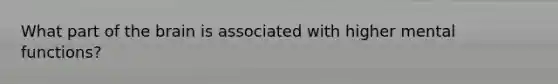 What part of the brain is associated with higher mental functions?