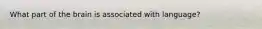What part of the brain is associated with language?