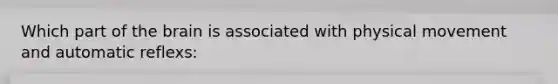 Which part of the brain is associated with physical movement and automatic reflexs: