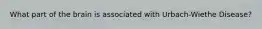 What part of the brain is associated with Urbach-Wiethe Disease?