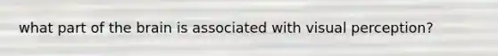what part of the brain is associated with visual perception?