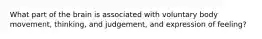 What part of the brain is associated with voluntary body movement, thinking, and judgement, and expression of feeling?