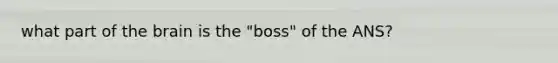 what part of the brain is the "boss" of the ANS?