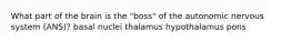 What part of the brain is the "boss" of the autonomic nervous system (ANS)? basal nuclei thalamus hypothalamus pons