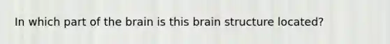 In which part of the brain is this brain structure located?