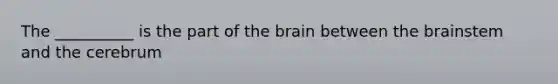 The __________ is the part of the brain between the brainstem and the cerebrum