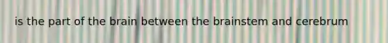 is the part of the brain between the brainstem and cerebrum