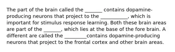 The part of the brain called the _______ contains dopamine-producing neurons that project to the ___________, which is important for stimulus response learning. Both these brain areas are part of the _______, which lies at the base of the fore brain. A different are called the _________contains dopamine-producing neurons that project to the frontal cortex and other brain areas.