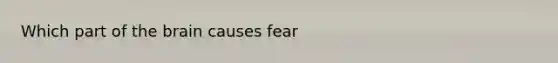 Which part of the brain causes fear