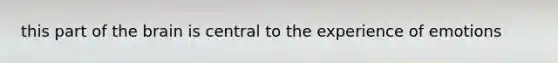 this part of the brain is central to the experience of emotions