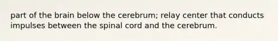 part of <a href='https://www.questionai.com/knowledge/kLMtJeqKp6-the-brain' class='anchor-knowledge'>the brain</a> below the cerebrum; relay center that conducts impulses between <a href='https://www.questionai.com/knowledge/kkAfzcJHuZ-the-spinal-cord' class='anchor-knowledge'>the spinal cord</a> and the cerebrum.