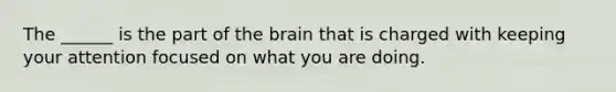 The ______ is the part of the brain that is charged with keeping your attention focused on what you are doing.